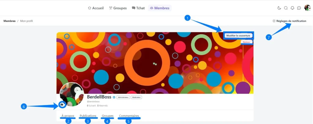 Illustration aperçu des sections du profil